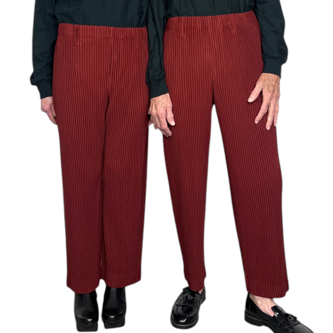 TAILORED PLEATS 2 PANT